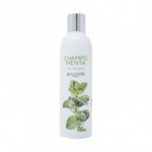 Champu De Menta 250 ml Balcare