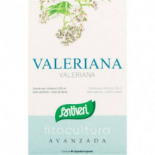 Fitocultura Avanzada Valeriana 40 Cápsulas Santiveri