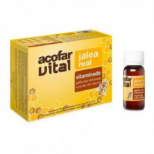 Acofarvital Jalea Real Vitaminada 20 Ampollas Acofar