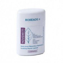 Boreade Reparador Stick 9,2 gr Noviderm