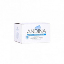 Andina Crema Decolorante 100 g