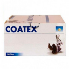 Coatex 60 X 4 Cápsulas (240) Vetplus