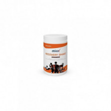 Etixx Recovery Sabor Sabor Chocolate 1500 g