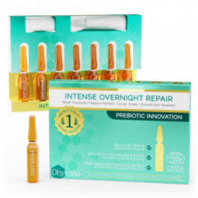 Intense Overnight Repair 7 Ampollas Dhyvana