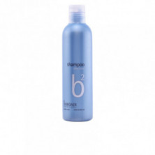 B2 Silver Color Champú Para Cabellos Blancos 250 ml Broaer