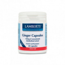 Ginger Jengibre 60 Cápsulas Lamberts