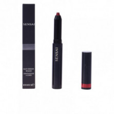 Silky Design Rouge Lápiz Labial -03 Tono Hiiro 1,2 gr Kanebo