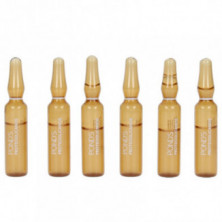 Ampollas Faciales Proteoglicanos 12x2 ml Pond's