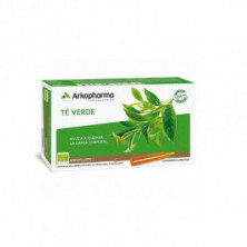 Té Verde 10 Ampollas Arkofluido Arkopharma