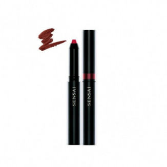 Silky Design Rouge Lápiz Labial -02 Color Ebicha 1,2 gr Kanebo