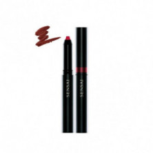 Silky Design Rouge Lápiz Labial -02 Color Ebicha 1,2 gr Kanebo