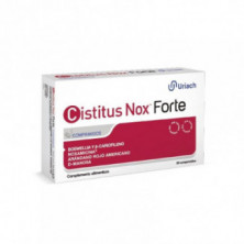 Cistitus Nox Forte 20 Comprimidos Uriach