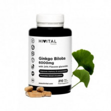 Ginkgo Biloba 6000 mg 210 Cápsulas Hivital