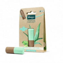 Bálsamo Labial  Aloe Vera Watermint Kneipp