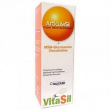 Articulasis MSM Gel 100 ml Naranja Vitasil