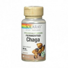 Hongo Chaga Fermentado 60 VegCaps Solaray