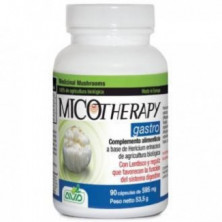 Micotherapy Gastro 90 Cápsulas AVD Reform