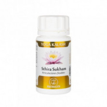 Yoga Kalash Sthira-Sukham 60 Cápsulas 750 mg Equisalud