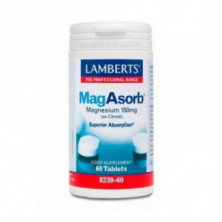 MagAbsorb 60 Tabletas Lamberts