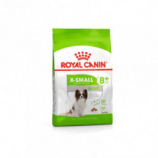 Pienso Para Perros Shn Xsmall Adult+8 años 500 gr Royal Canin