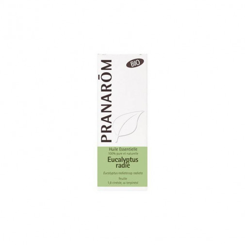 Aceite Esencial Eucalipto Radiata 10ml