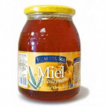 Miel Eucalipto 1 kg Hijas De Sol