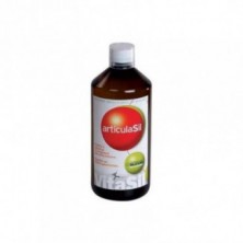 Vitasil Articulasil Aceites Esenciales 1 L Dexsil