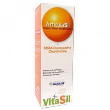 Vitasil Articulasil Msm Gel 225 ml Dexsil