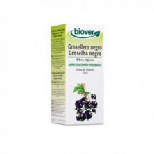 Extracto Grosellero Negro (Ribes Nigrum) 50 ml Biover