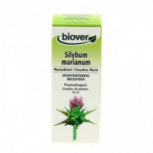 Extracto Cardo Mariano (Silybum Marianus) 50 ml Biover