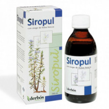 Siropul Jarabe 250 ml Derbos