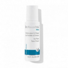 Crema Intensiva Planta De La Escarcha 50 ml Dr. Hauschka