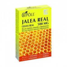 Bipole Jalea Real 500 mg 20 Ampollas Intersa