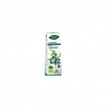 Phyto Biopole Bio Arandano 50 ml Intersa