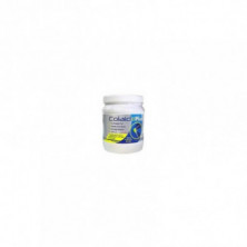 Colaid Plus Colageno + Acido Hialuronico 360 gr Just Aid