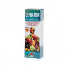 Phytonorm Depurator Jarabe 250 ml Intersa