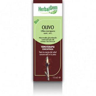 Olivo Macerado Glicerinado 50 ml Herbalgem