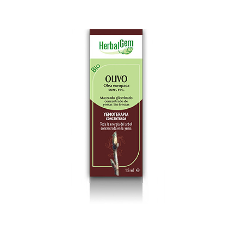 Olivo Macerado Glicerinado 50 ml Herbalgem