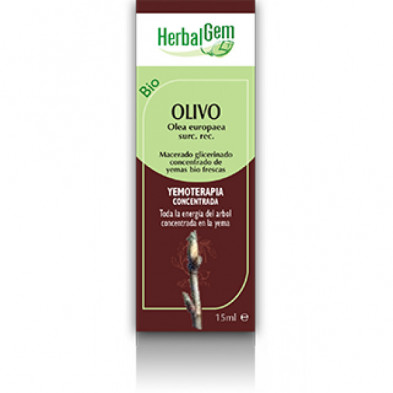 Olivo Macerado Glicerinado 50 ml Herbalgem