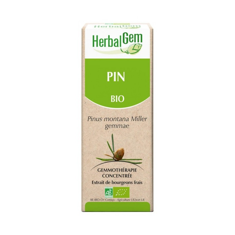 Pino Macerado Glicerinado 50 ml Herbalgem