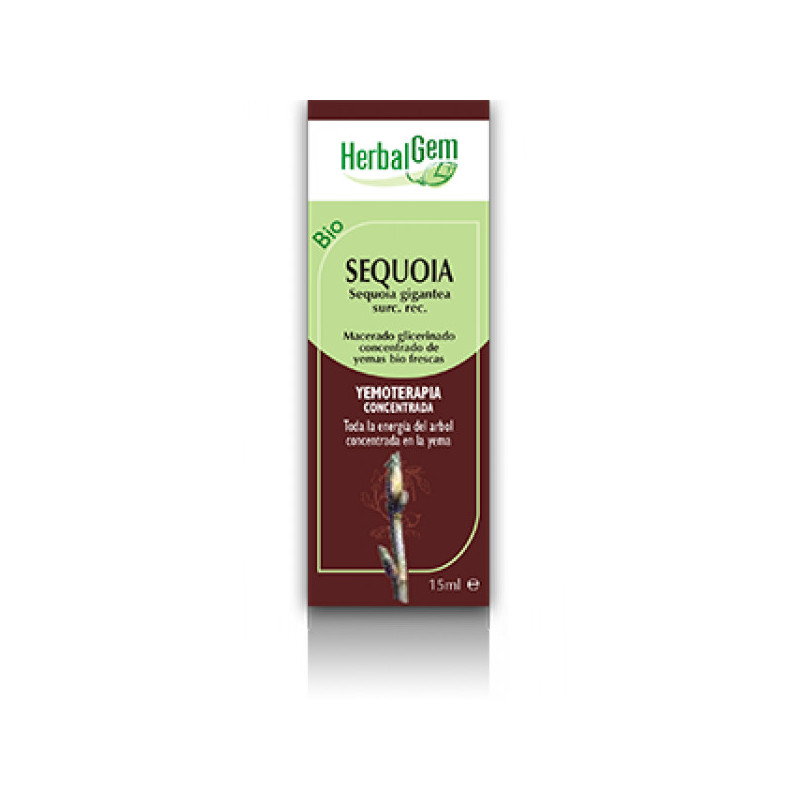 Sequoia Macerado Glicerinado 50 ml Herbalgem