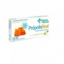 Propolis Real 10 Viales Masform