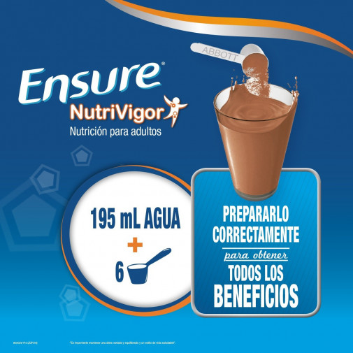 Ensure Nutrivigor Polvo Chocolate 400 G