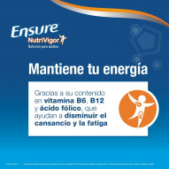 Ensure Nutrivigor Polvo Chocolate 400 G