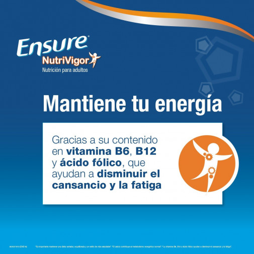 Ensure Nutrivigor Polvo Chocolate 400 G
