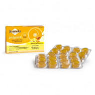 Juanola Propolis Miel Zinc Vitc 24 Past