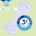 Tena Lady Normal 24 Und