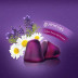 Zzzquil Natura Melatonina 30 Gominolas
