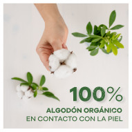 Ausonia Organic Cotton Noche Alas 8 U