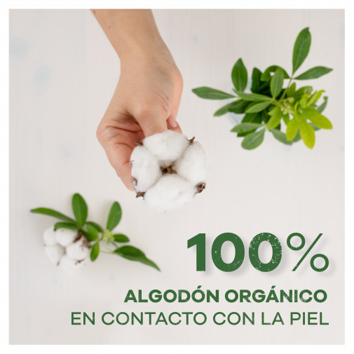 Ausonia Organic Cotton Noche Alas 8 U